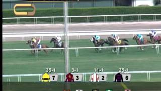 Gulfstream Park Race 5 / September 7, 2014
