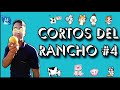 CORTOS DEL RANCHO #4. PLANTAS NUEVAS SEMBRADAS. CÓMO ESTÁN LAS POSTURASSU CRECIMIENTO el Záceta