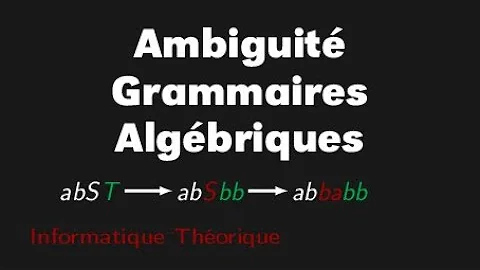 Quelle est la signification du mot ambiguïté ?