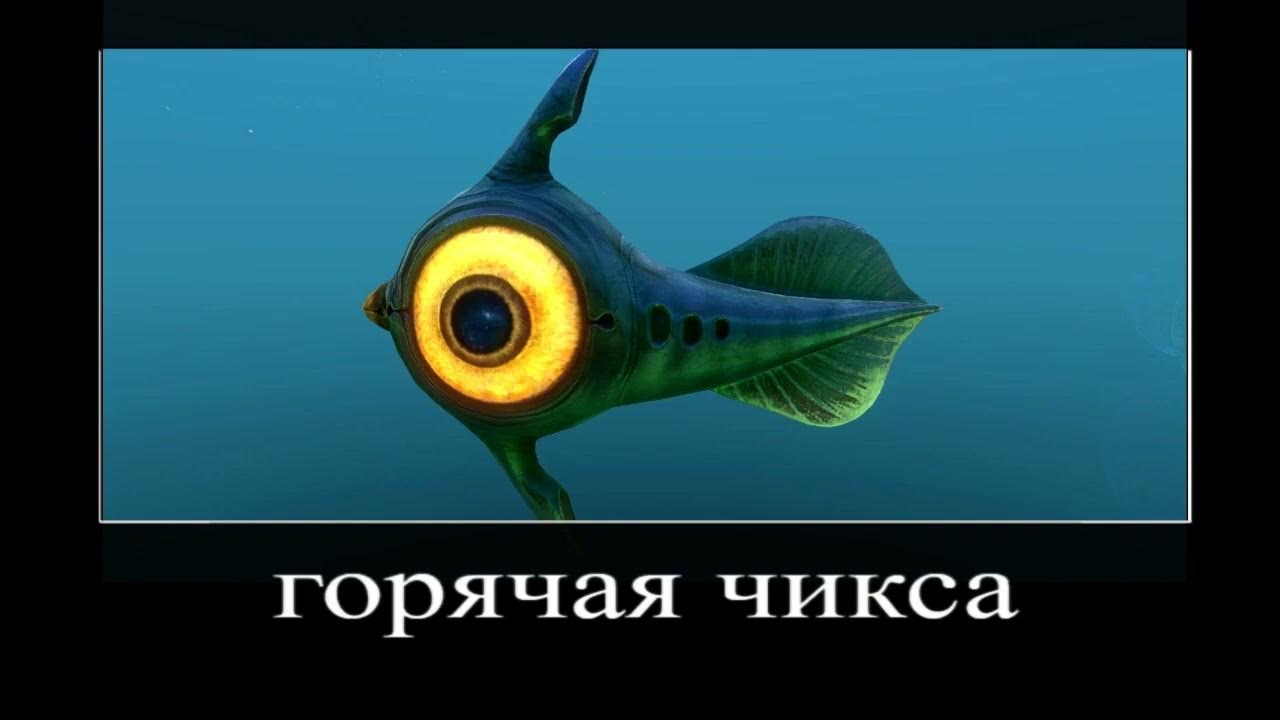 В главных ролях: сабнатика - YouTube