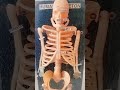 Skeleton #anatomy #ncert #locomotion #movement #biologicofficial