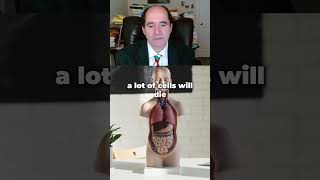 What's difference between apoptosis vs necrosis cell death?