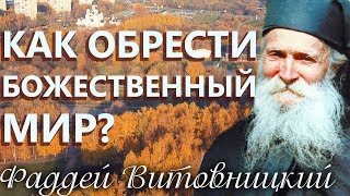 Как обрести Божественный мир? Старец Фаддей Витовницкий