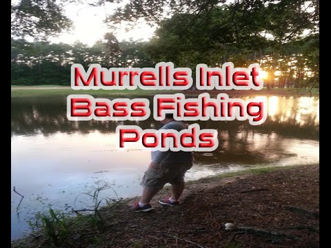 B Fishing The Runoff Ponds Of Myrtle Beach S C With 843 B Fishing The Runoff Ponds Of Myrtle Beach S C With 843 Tv