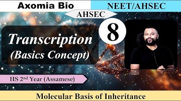 Molecular Basis of Inheritance|Lecture 8| Transcription Basics| Dr. Rajib Borah| Axomia Bio