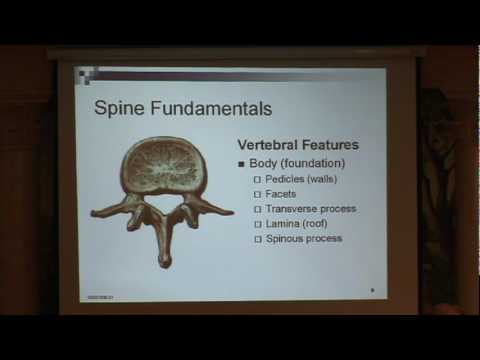 Lumbar Spinal Stenosis Part 1- Spine Fundamentals ...