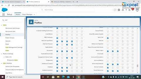 Salesforce Admin Intermediate | Permission Set | Expert Works