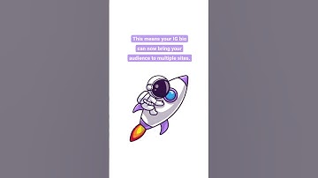 Can you have 2 websites on Instagram || Lnk.Bio