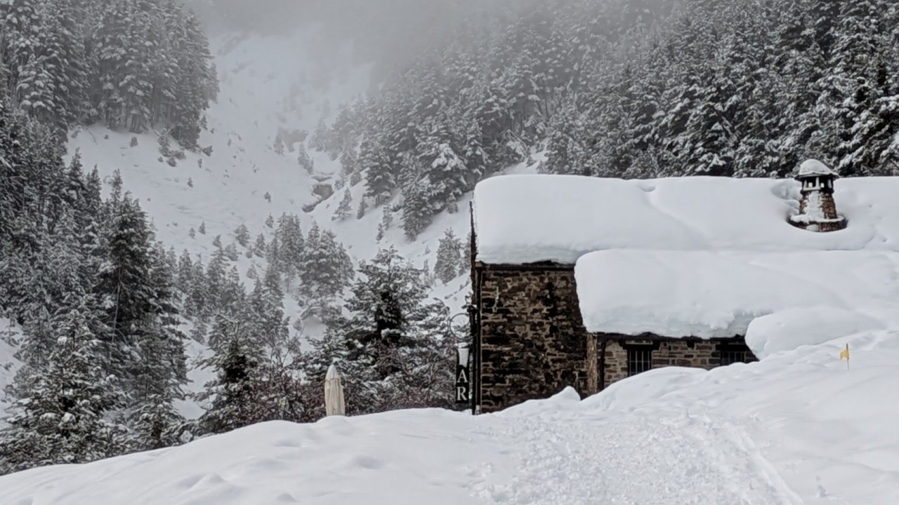 Freeride por Cotefqblo