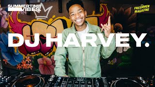 Amapiano | SummerTime Vibes Mix with DJ Harvey