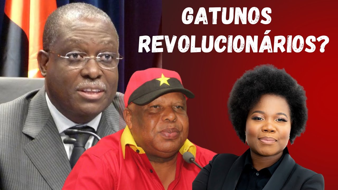 Compreenda as Dimensões, locução de Tânia de Carvalho