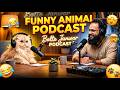 Funny Talking Cat Podcast 😼 | Mrs Cat Attitude Interview | Bolte Janwar Episode 2