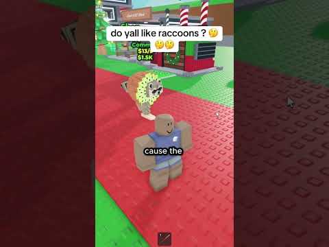 Do Yall Like Raccoons 