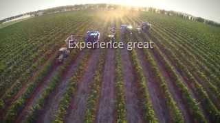 Experience Great Riverina Wine from Australia