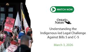 Understanding the Indigenous-led Legal Challenge Against Bills 5 and C-5