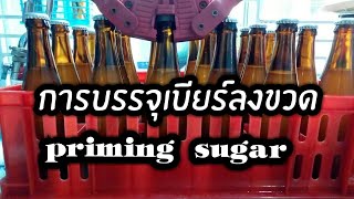 บรรจุเบียร์ใส่ขวด เพื่อให้เบียร์ซ่าส์ วิธีทำpriming sugar part2