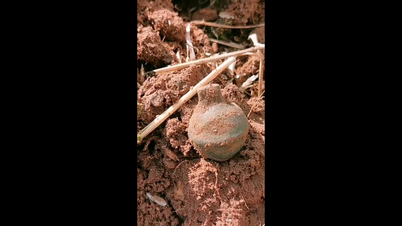 Over 400 Year Old Rare Queen Elizabeth Silver Hammered Coin Found In Norfolk UK Shorts
