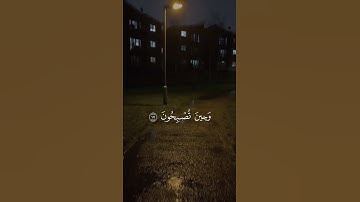 فسبحان الله حين تمسون وحين تصبحون #قران_كريم #المنشاوي #تلاوة_خاشعة