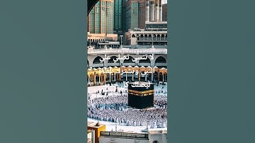 قران كريم راحه نفسيه #قران_كريم #قرآن #قصص #islamicteachings #اكسبلور #الرحمن #دويتو #duet