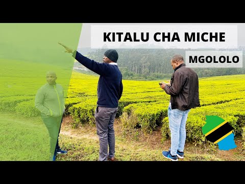 Video: Ni samani gani zinazohitajika kwa kitalu cha watoto?