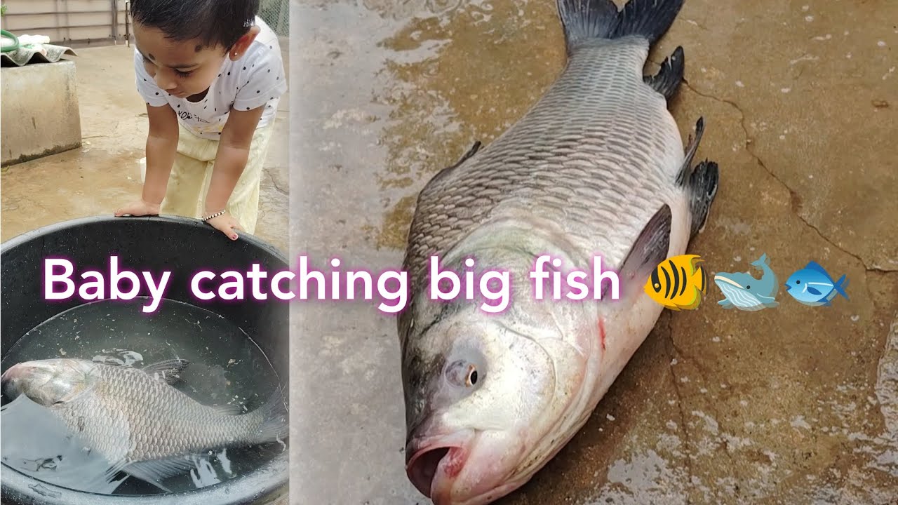baby catching fish π ππ - YouTube