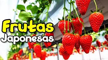 O que não se deve fazer no Japão?