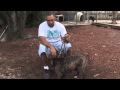 How to Make a Dog Stop Biting How to Make a Dog Stop Biting