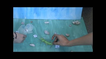 project the grasshopper