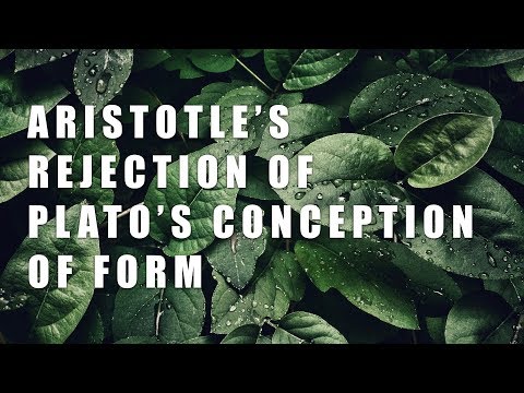ვიდეო: რატომ არ ეთანხმებოდა არისტოტელე პლატონის ფორმების თეორიას?