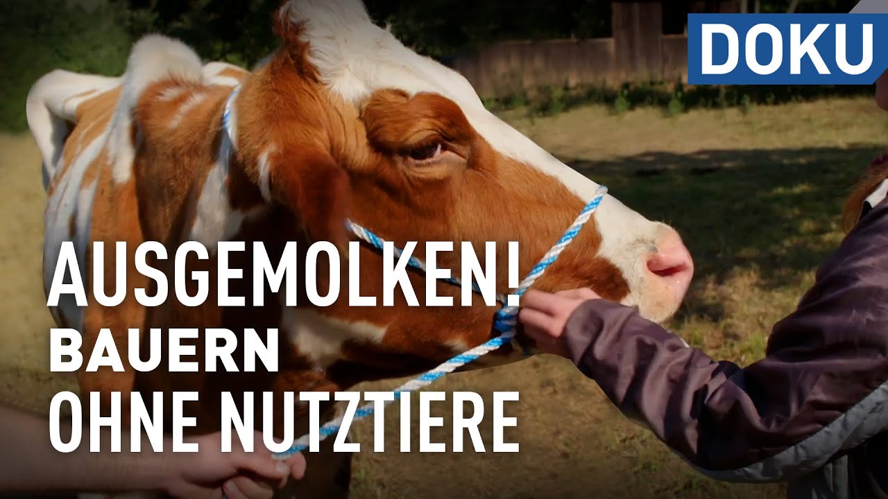  Update  Ausgemolken! Bauern ohne Nutztiere – der neue Lebenshof | Reupload | doku | hessenreporter