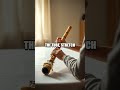 Straw Flute Resonance at Home