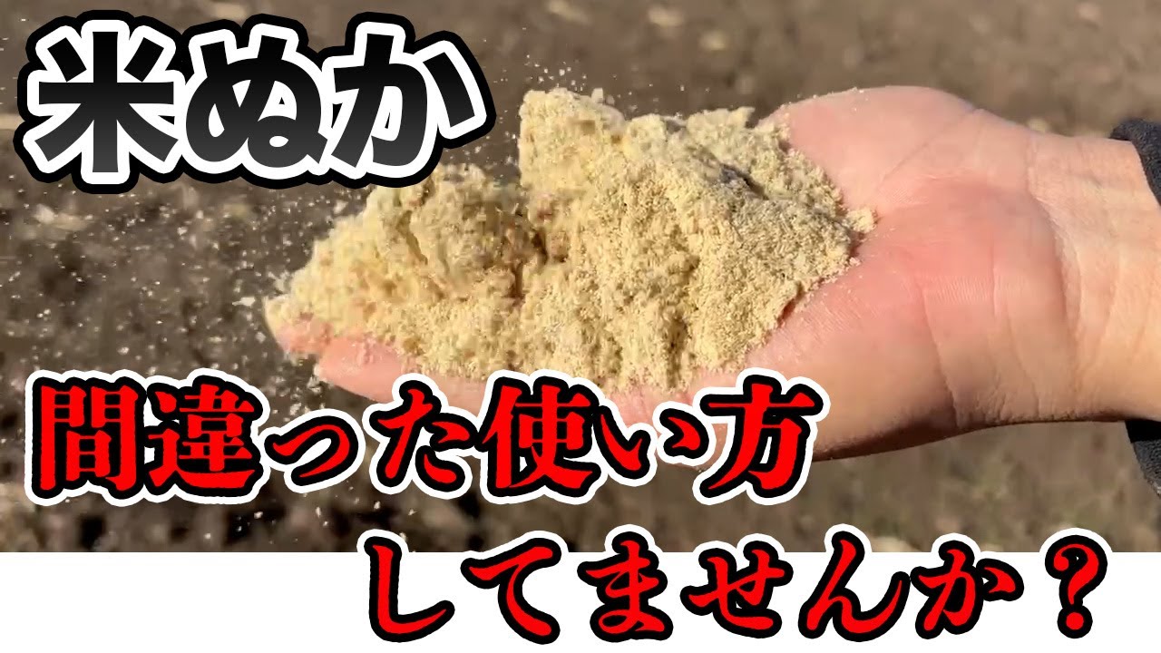Rice bran] This is the most effective, cheapest and strongest