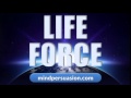 Life force   infinite power love kindness   energetic center