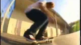 Best 360 Flip Ever (Stefan Janoski)