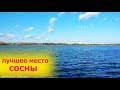 Лучшие места для рыбалки в Украине Киеве на Днепре Десне рыбалка на соснах с лодки спиннинг осенью