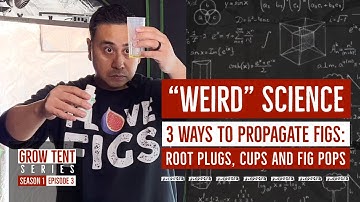 Weird Science | 3 WAYS to PROPAGATE FIGS: Root Plugs, Cups & Fig Pops (Grow Tent Series, S1E3) #figs