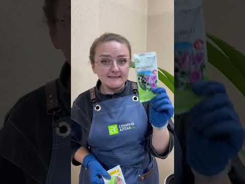 #сад #огород #дача #семенаалтая