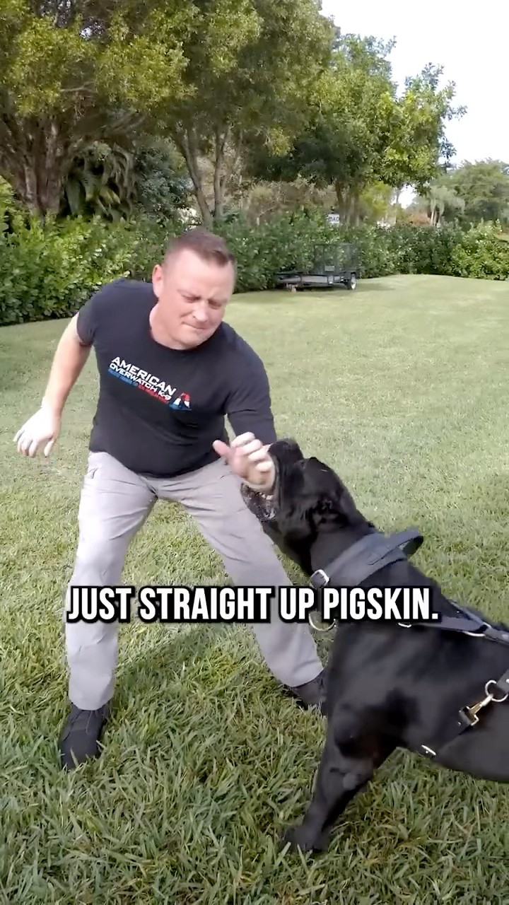 #JasonDeruloTV // Bite Sleeve Tests ? #GotPermissionToPost From @AmericanStandardK9 #HandsOnMe