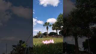 Blue Collar Comedy hardwork  funny creative landscape