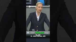 💙🕊 Der Frieden wird verhindert! #frieden #ukrainekrieg #afd #afdimbundestag #weidel