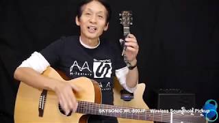 SKYSONIC WL 800JP  Takashi Nakamura (MANHA DE CARNAVAL)