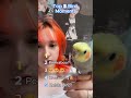 TOP 5 BIRD MOMENTS! #animalvideos #funny #cat #cute #birds #bird #dog #dogs #animals #animal #vid