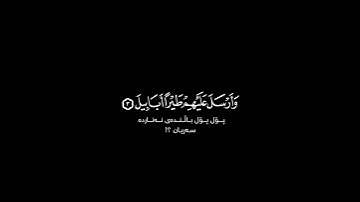 ألم تر كيف فعل ربك بأصحاب الفيل شاشة سوداء | #ياسر_الدوسري حالات واتس | كرومات قرآن كريم