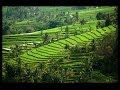 Bali 2014