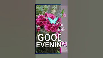 Thumbnail of Good evening wishes 💕 Good evening whatsapp status video #evening #ye_shaam_mastani #song