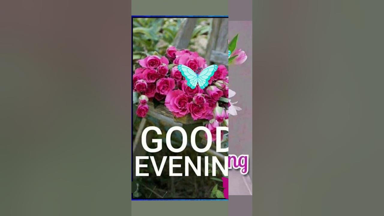 Good evening wishes 💕 Good evening whatsapp status video #evening #ye_shaam_mastani #song
