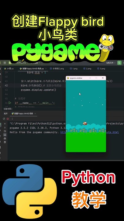 《创建Flappy bird小鸟类》 #python教学 #pygame - YouTube
