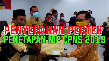 PERTEK PENETAPAN NIP CPNS FORMASI 2019