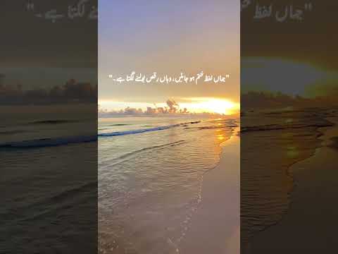 جہاں لفظ ختم ہوں وہاں رقص بولتا ہے Dance Of Soul Urdu Quote