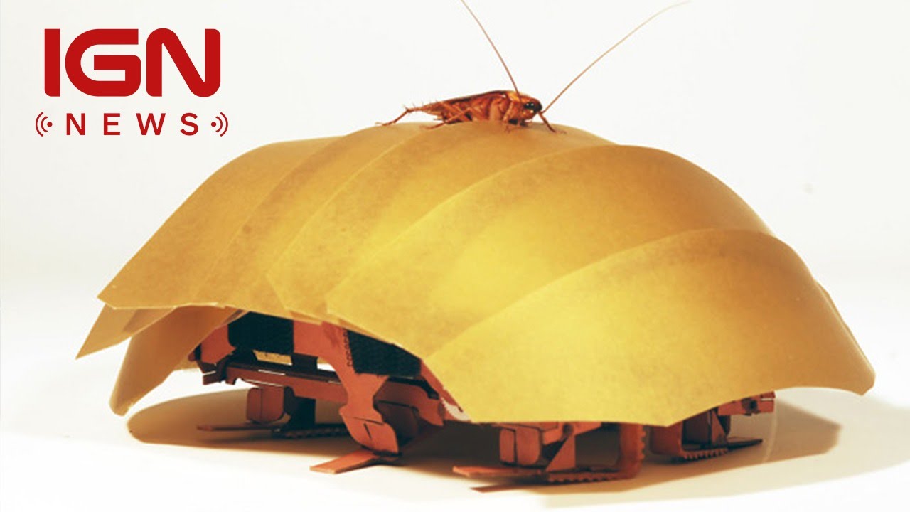 Meet the Robotic Cockroach that Could Save Your Life - IGN News
